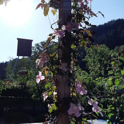 Chalet Murau Kreischberg Aussenansicht Durchgang