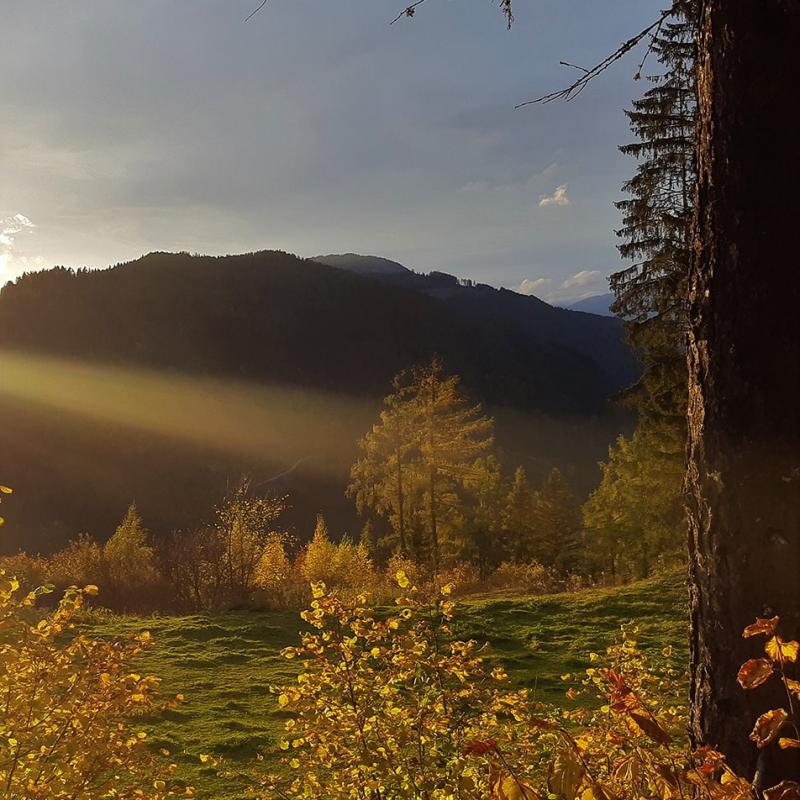 Chalet Murau Kreischberg Umgebung Wald