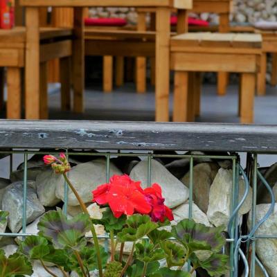 Chalet Murau Kreischberg Aussenansicht Geranie